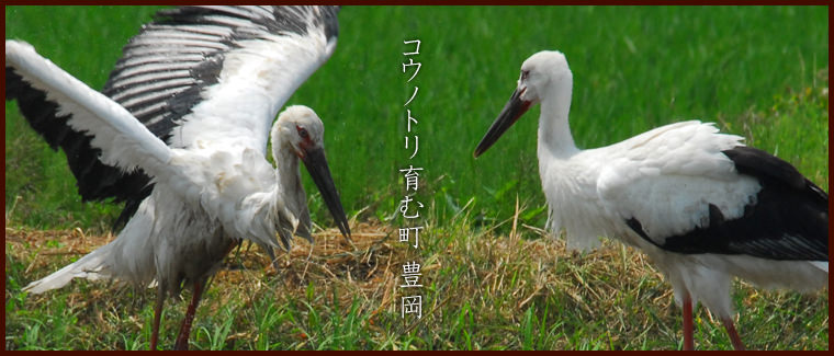 コウノトリ育む町豊岡